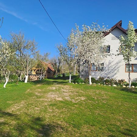 Casa Cristalul Muntilor Hotell Poiana Mărului Eksteriør bilde