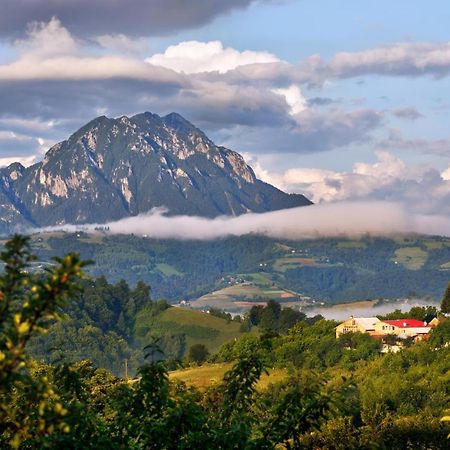 Casa Cristalul Muntilor Hotell Poiana Mărului Eksteriør bilde