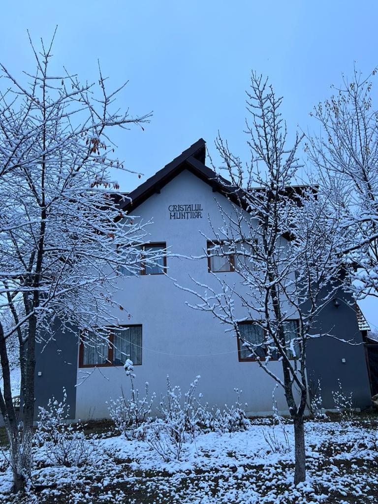 Casa Cristalul Muntilor Hotell Poiana Mărului Eksteriør bilde