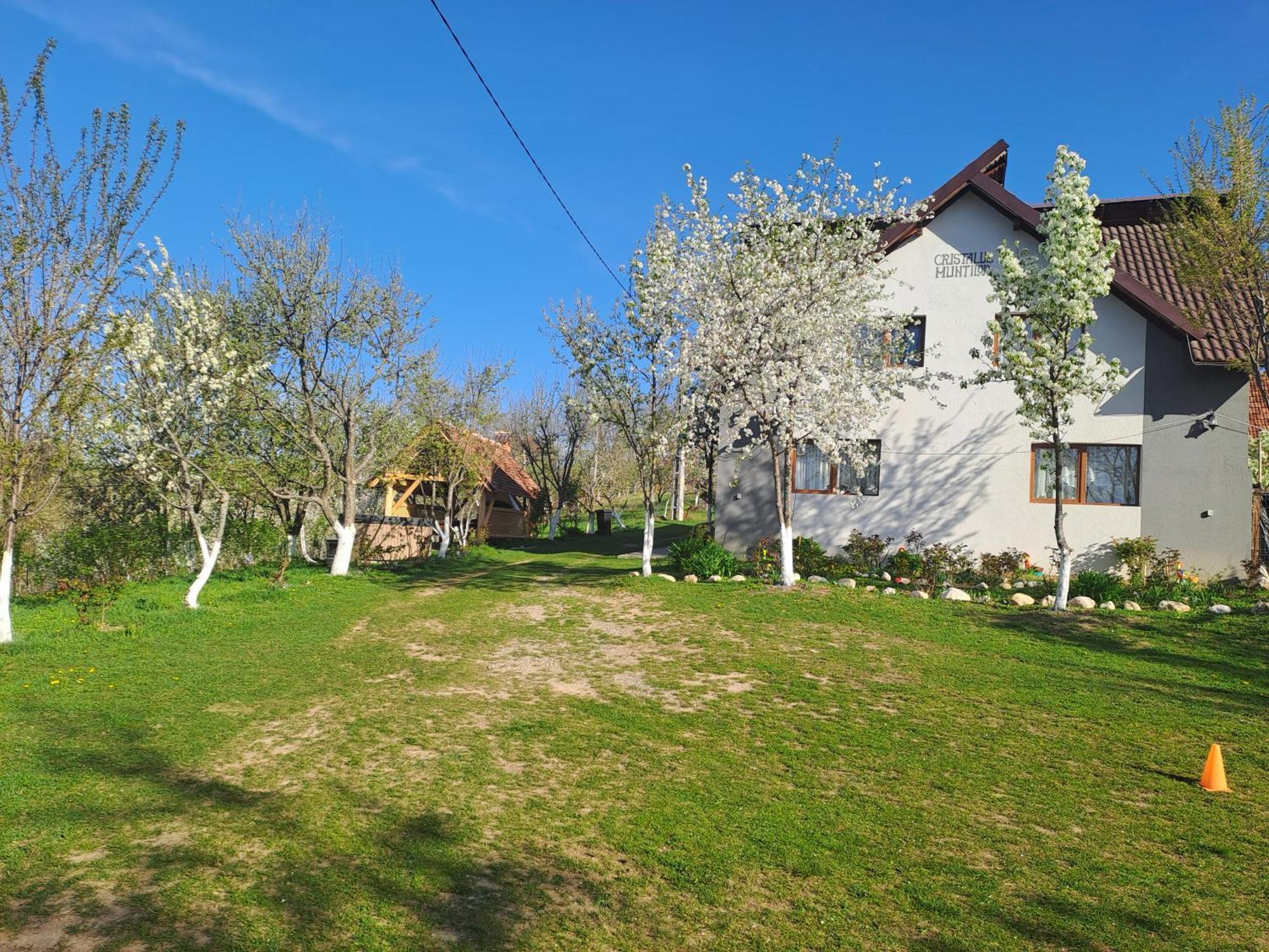 Casa Cristalul Muntilor Hotell Poiana Mărului Eksteriør bilde