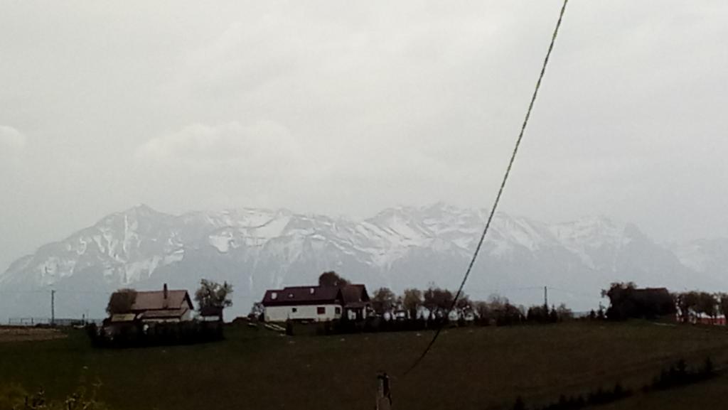 Casa Cristalul Muntilor Hotell Poiana Mărului Eksteriør bilde