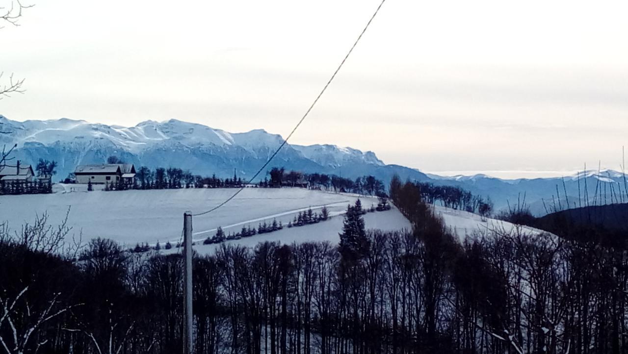 Casa Cristalul Muntilor Hotell Poiana Mărului Eksteriør bilde